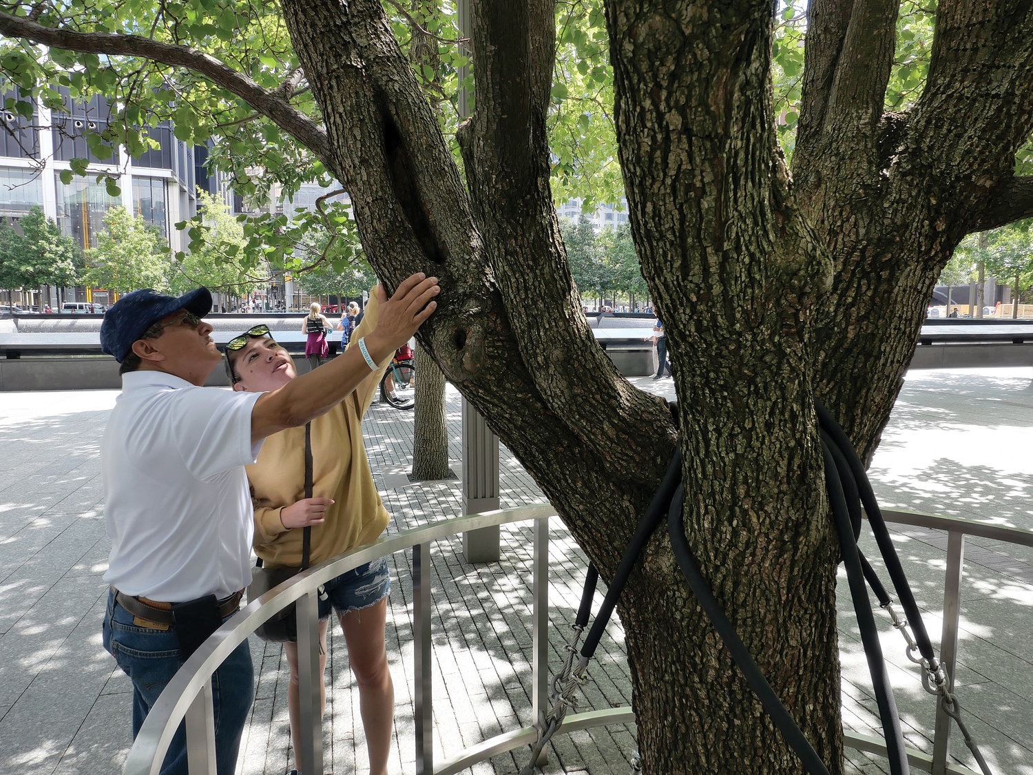 A man and a woman examine a Callery pear tree that became known as the “Survivor Tree” after it endured the 9/11 terror attacks at the World Trade Center.