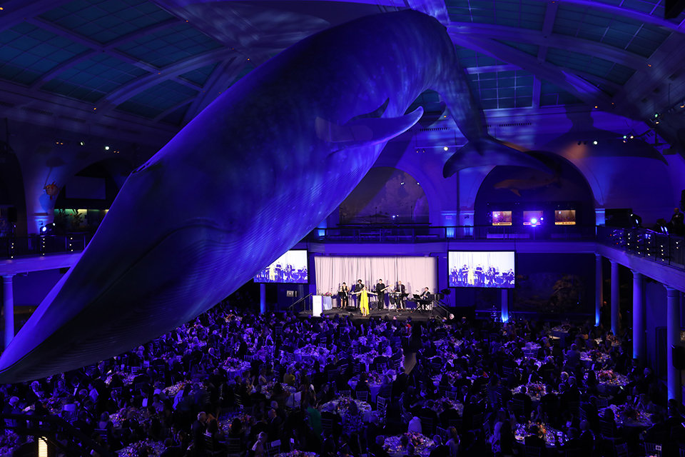 The 13th annual gala for Catholic Charities of New York June 8 at the American Museum of Natural History in Manhattan raised nearly $3 million for New Yorkers in need.